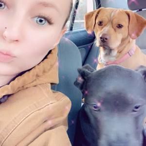 Meet your Posher, Cheyanne